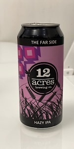 The Far Side Hazy IPA