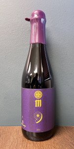 M9.1