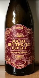 Social Butterfly Effect
