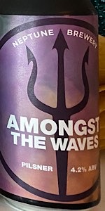 Amongst the Waves