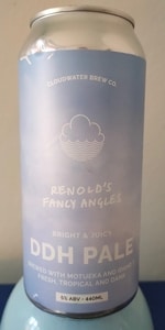 Renoldâs Fancy Angles