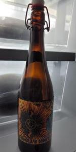 Sunnaâs Nectar Braggot