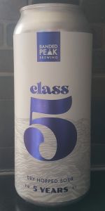 Class 5 - Dry Hopped Sour