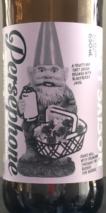 Blackberry Tart Saison