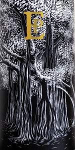 Through Woven Branches