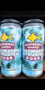 Saltwater Intrusion - Raspberry Mango Gose