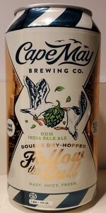 Double Dry Hopped Follow the Gull