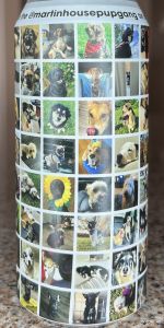 @martinhousepupgang