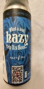 What A Long Hazy Trip It's Been