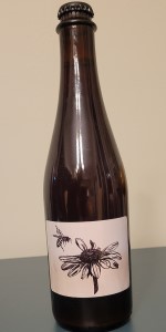 Honey Pot - Plum