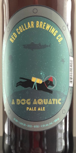 A Dog Aquatic