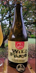 Wild Feijoa Sour Ale 2020