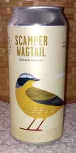 Scamper Wagtail