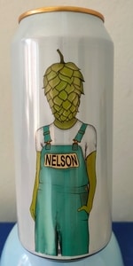 Nelson Nelson