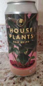House Plants