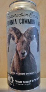 California Common Lager
