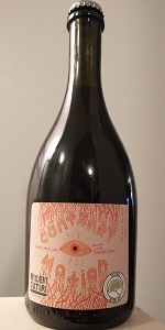 Contrary Motion - Merlot