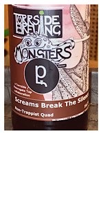Monsters: Screams Break the Silence