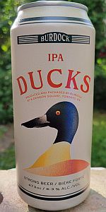 Ducks
