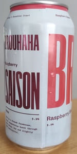 Raspberry Saison