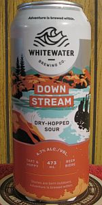 Down Stream