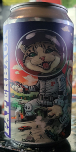 Attack Of The Space Cats
