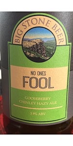 No Ones Fool