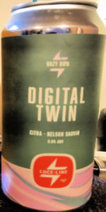 Digital Twin