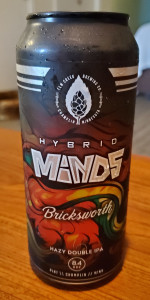 Hybrid Minds: Bricksworth