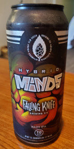Hybrid Minds : Falling Knife