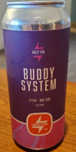 Buddy System