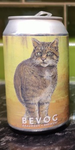 Extinction Is Forever!: Scottish Wildcat