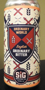 Ordinary World