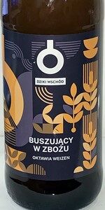 BuszujÄcy w zboÅ¼u