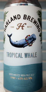 Tropical Whale