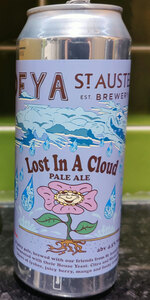 Lost In A Cloud
