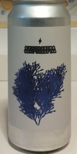 Cystoseira