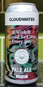 I Wish It Could Be Citra Every Day