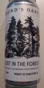 Lost in the Forest