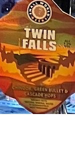 Twin Falls