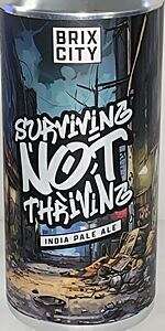 Surviving Not Thriving
