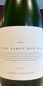 Neither Names Nor Works (2022)