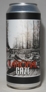 Rational Gaze