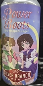 Power Boots 2024