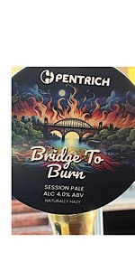 Bridge to Burn