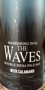 Wandering into the Waves