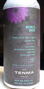 Moonlit Skies