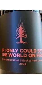 If I Could Only Set The World On Fire
