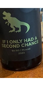 If I Only Had A Second Chance