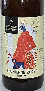 PÅomienne Zorze